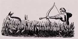Hunting the hare